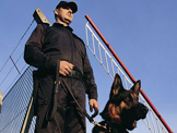 K9 Security